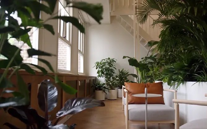 Botanical library with armchairs among large plants